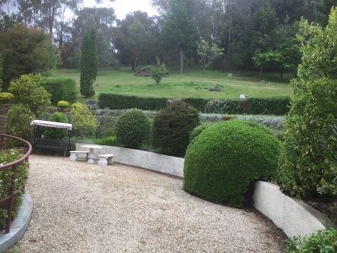 A gravel driveway with beautifully trimmed and sculpted hedges